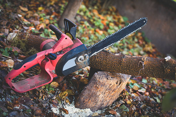 Best Arborist Consultation Services  in Wardsville, MO